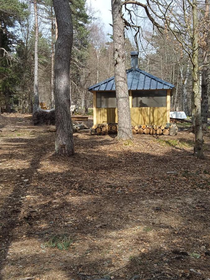 Chalet Libellule Domaine De La Mamounette Champclause Exterior foto
